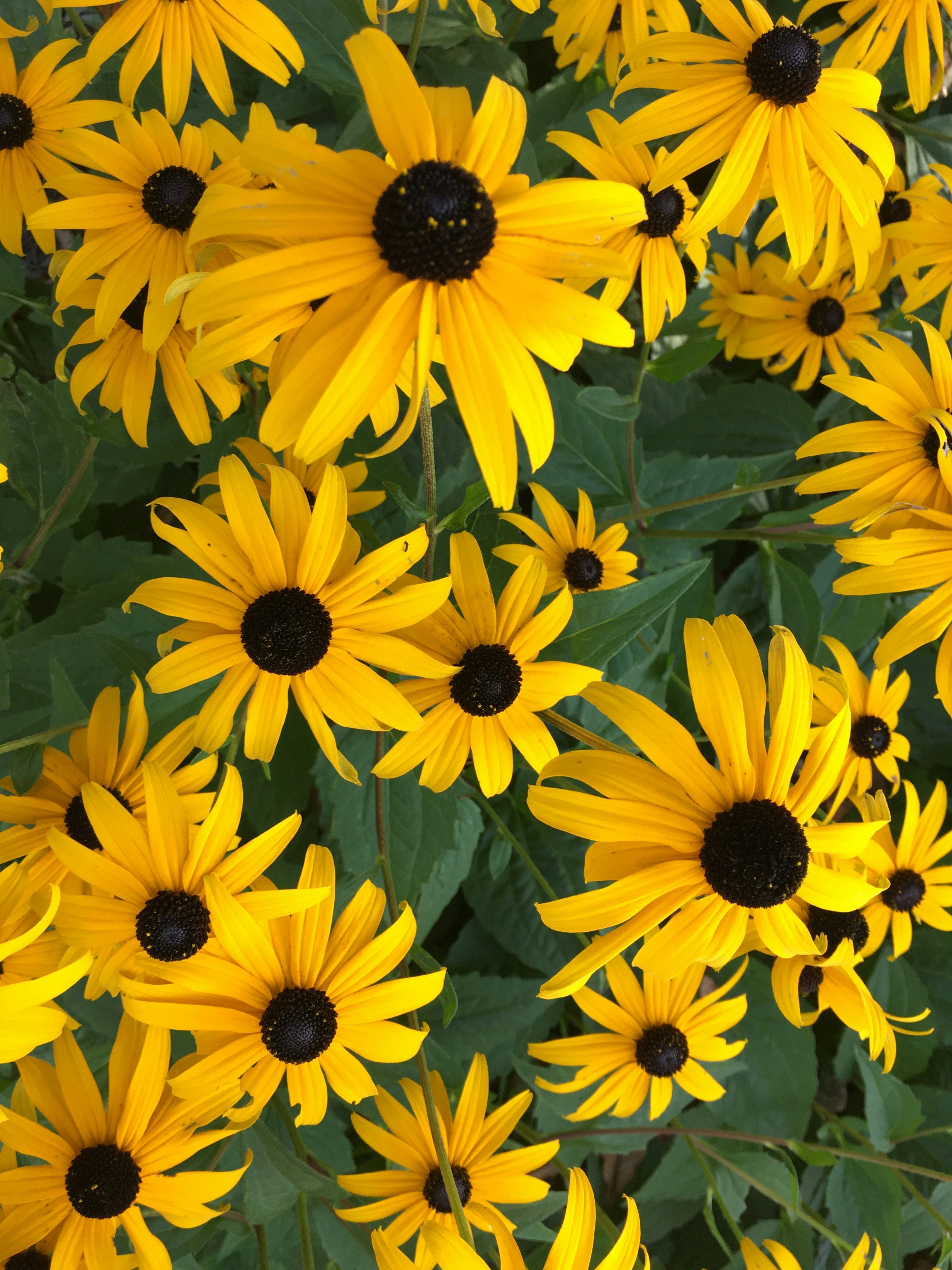 Photo by robertkfoster