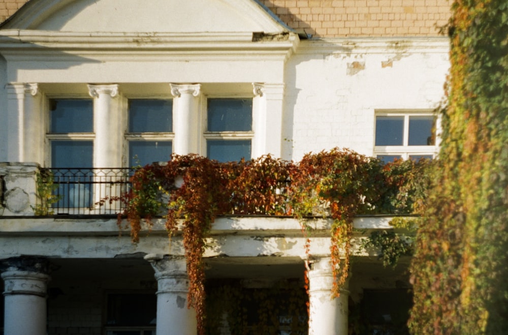 an old building with ivy growing on it