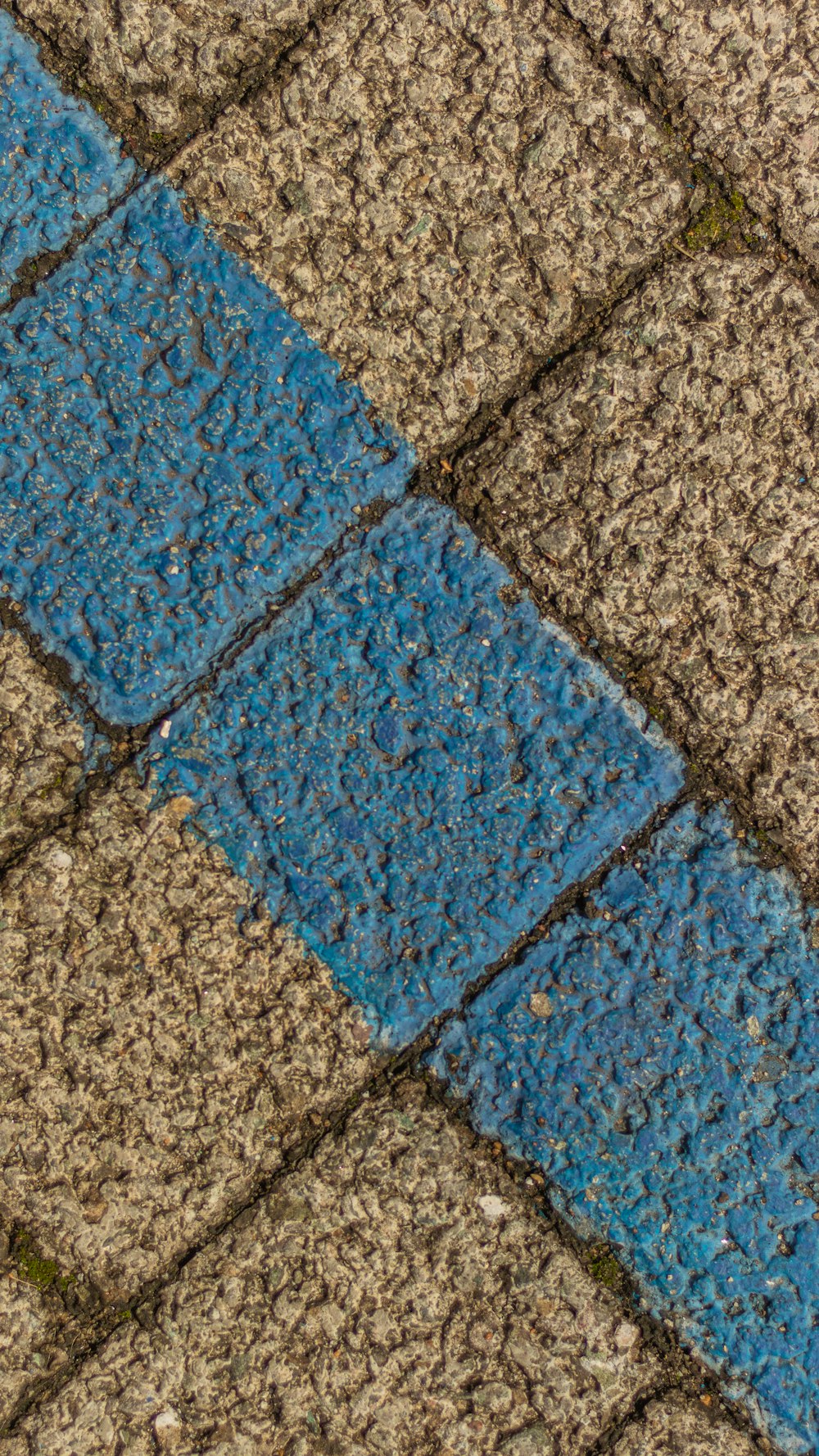 a close up of a sidewalk with a blue line painted on it