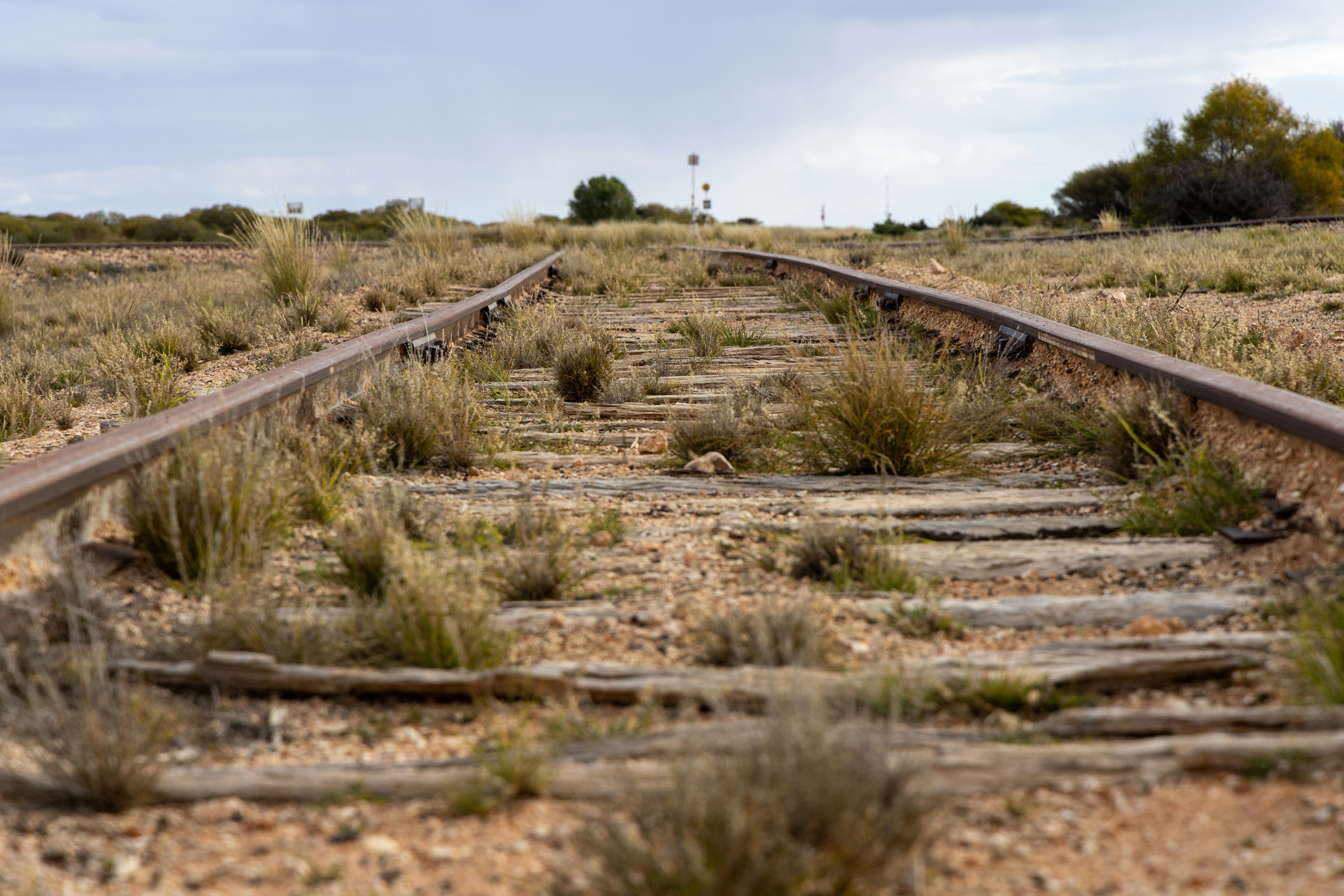 Photo by stephenmabbs