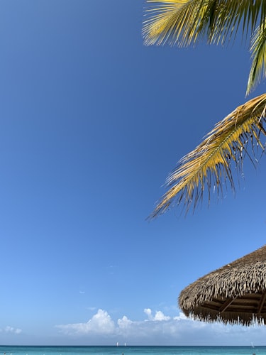 Bitter End Yacht Club resort