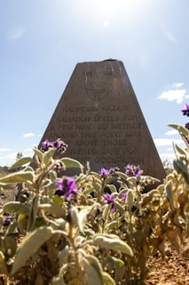 A warning sign indicating a radiation hazard is partially obscured by foliage with purple flowers. The triangular sign warns of high radiation levels in the area, with a symbol above the text. The sky is clear with the sun shining overhead, casting light on the scene.