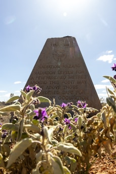 A warning sign indicating a radiation hazard is partially obscured by foliage with purple flowers. The triangular sign warns of high radiation levels in the area, with a symbol above the text. The sky is clear with the sun shining overhead, casting light on the scene.