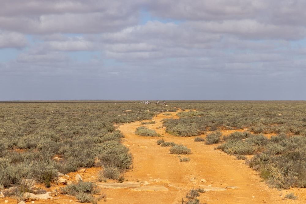 a dirt road in the middle of a desert