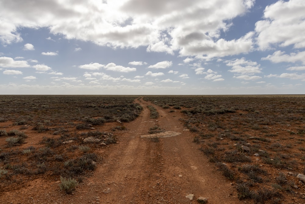 a dirt road in the middle of a desert