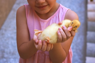 a little girl holding a small yellow duck