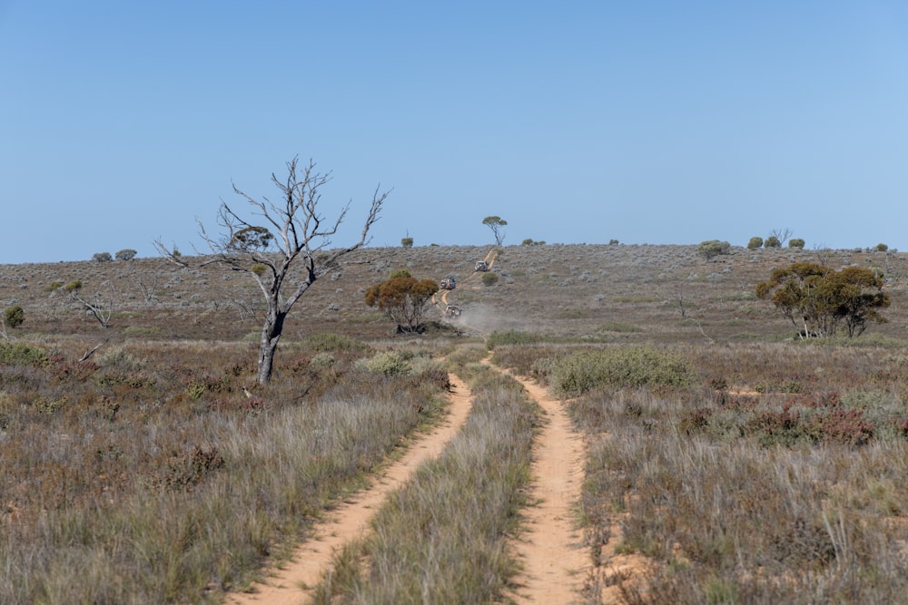 a dirt road in the middle of a field