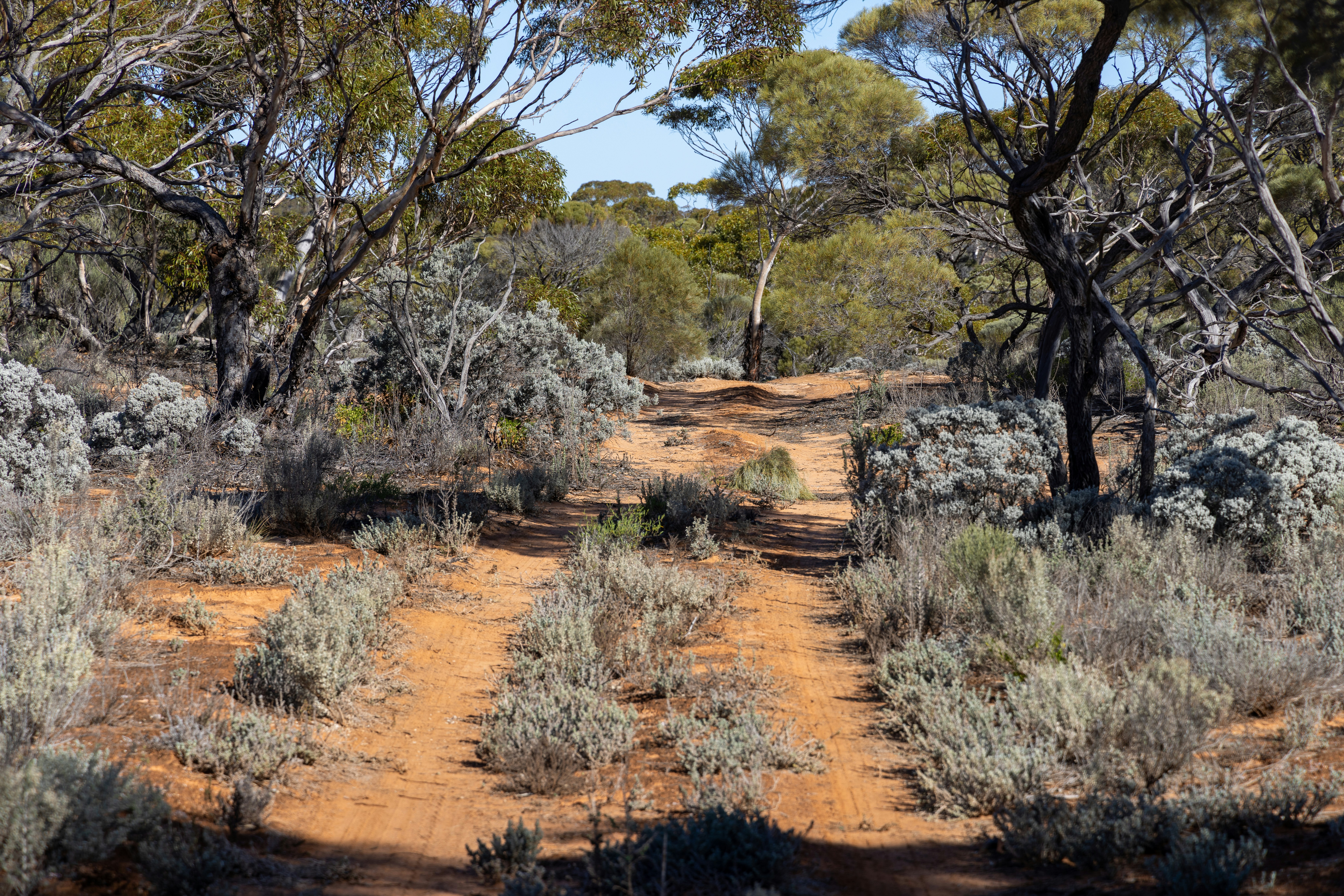 Photo by stephenmabbs