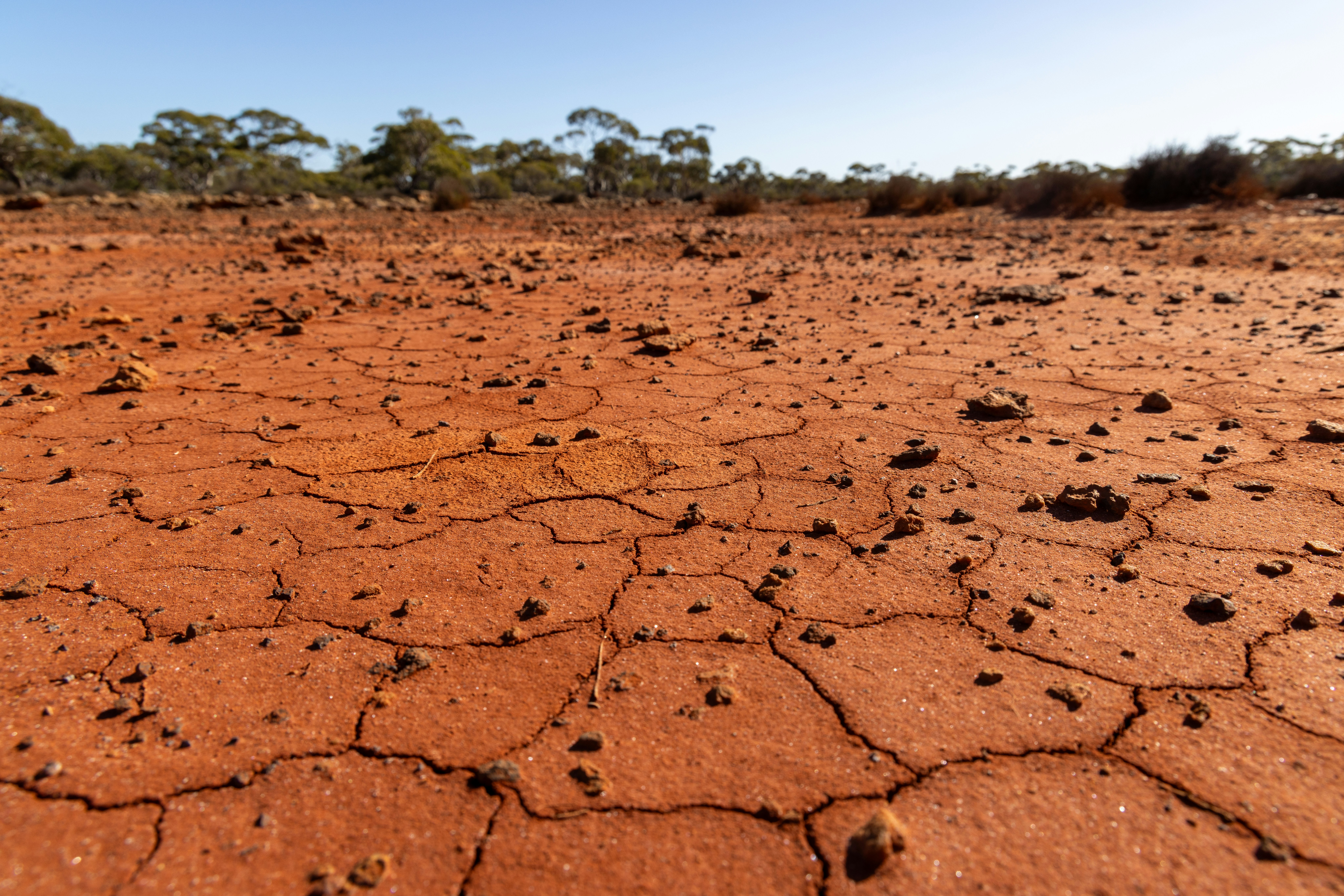 Initiative Aims to Restore Drylands Globally
