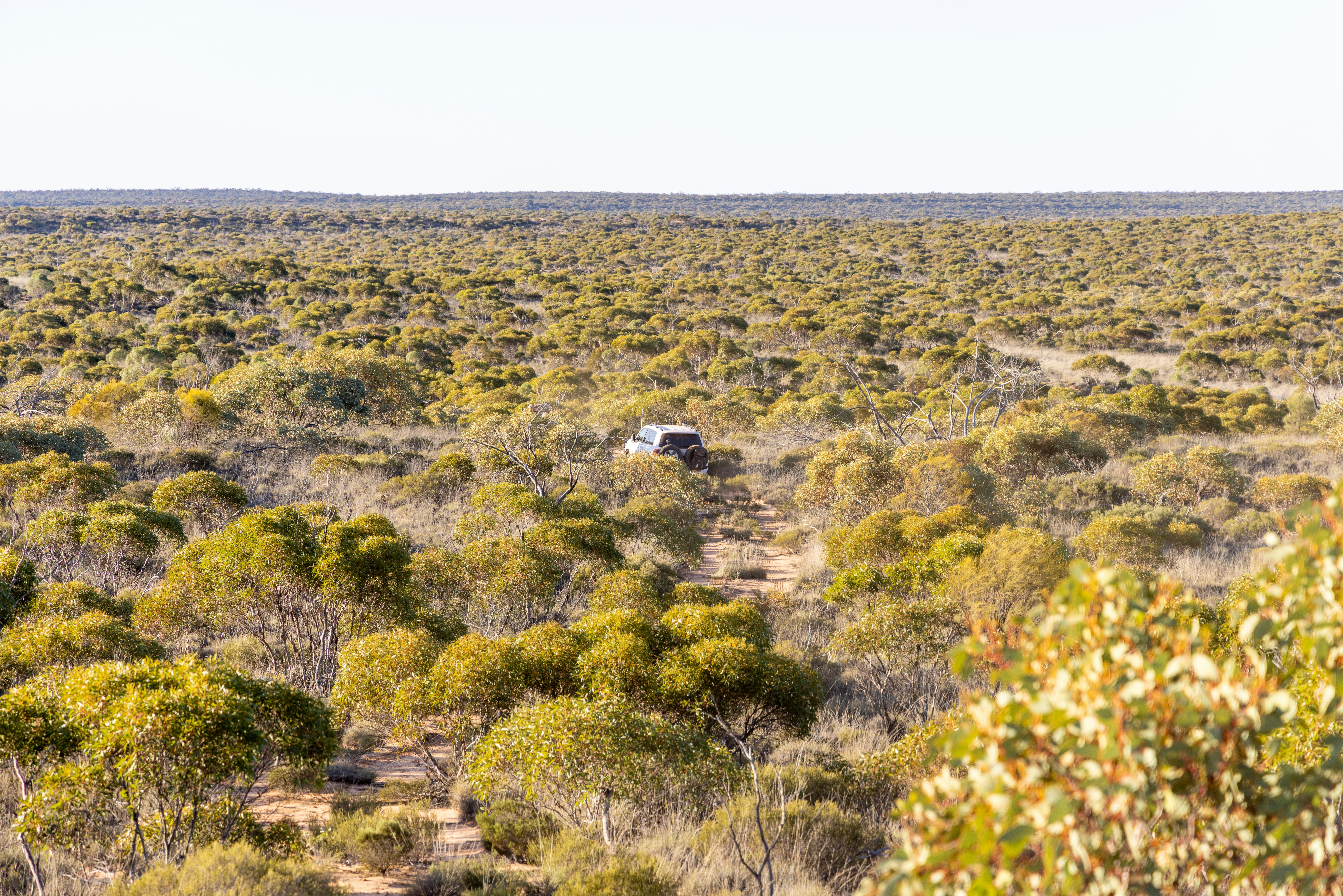 Photo by stephenmabbs