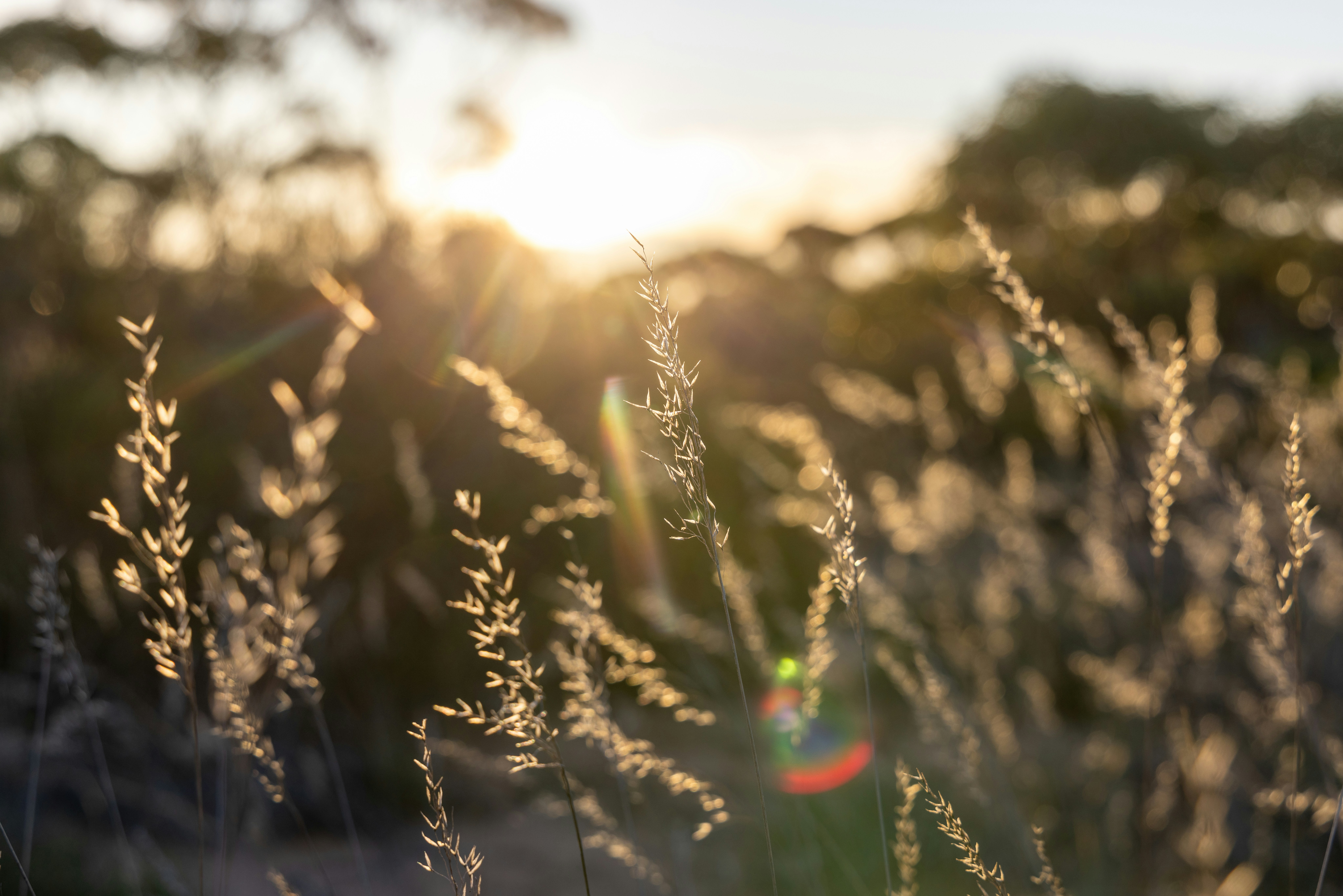 Photo by stephenmabbs