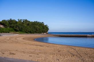 A tranquil beach scene features a gently curving shoreline with golden sand, bordered by dense, green vegetation. The calm, blue ocean stretches to the horizon under a clear sky. Concrete barriers protect the beach, and a house is partially visible among the trees.