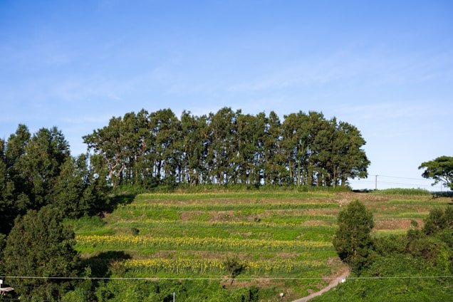 A terraced hillside farm with modern irrigation systems under clear skies.