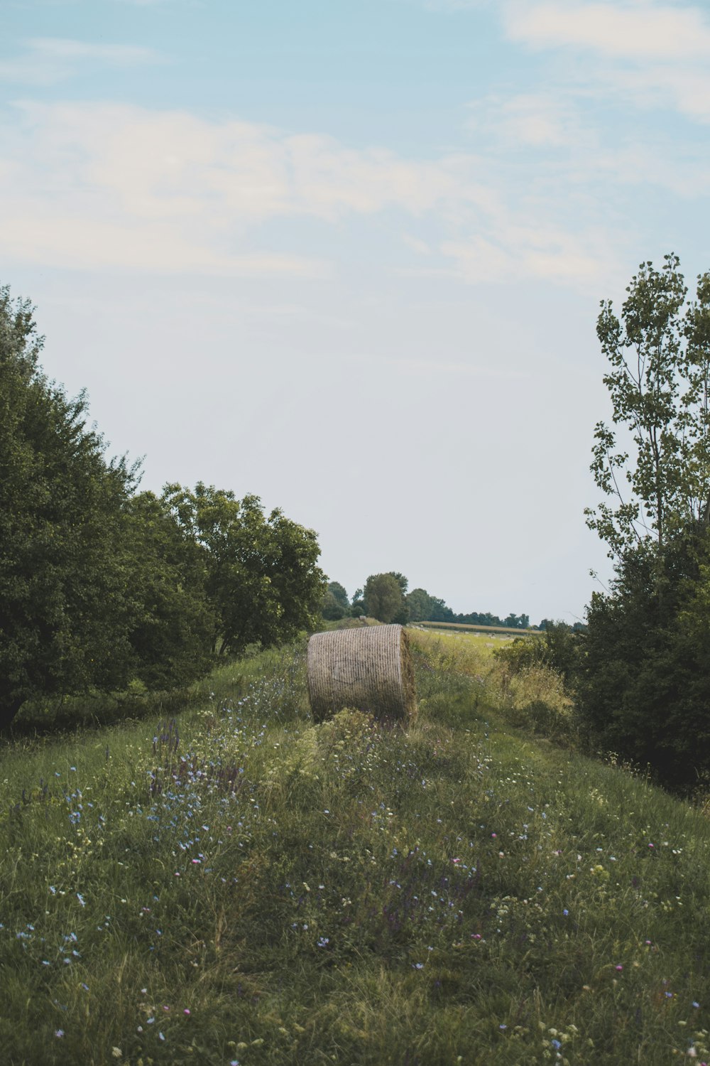 a hay bale sitting in a field of grass