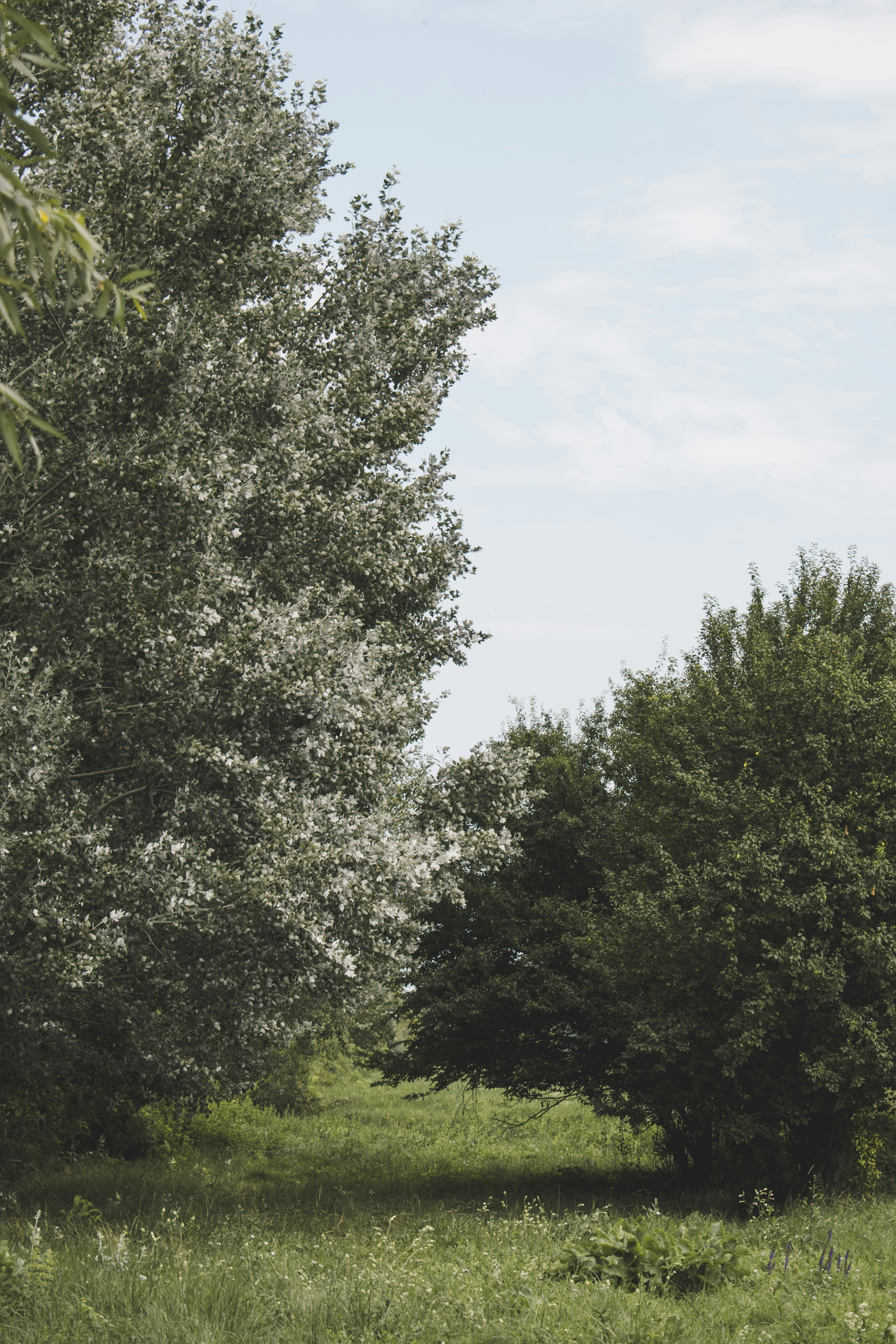 Photo by margagreta_96