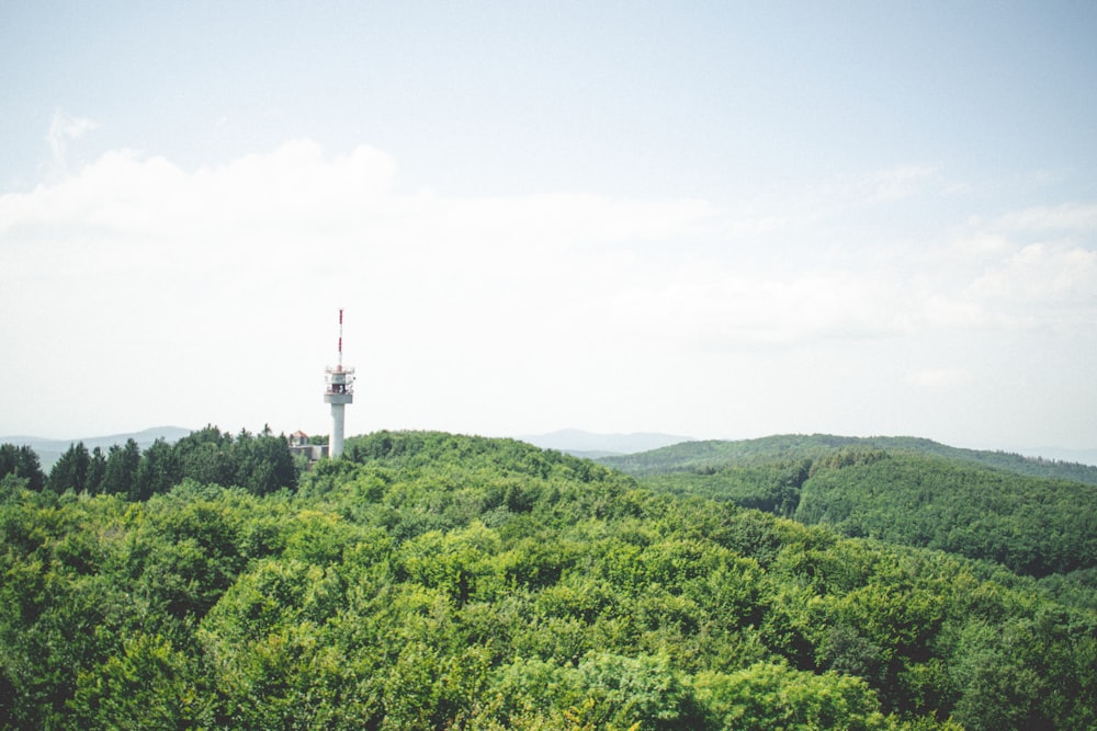 una torre en la cima de una colina rodeada de árboles