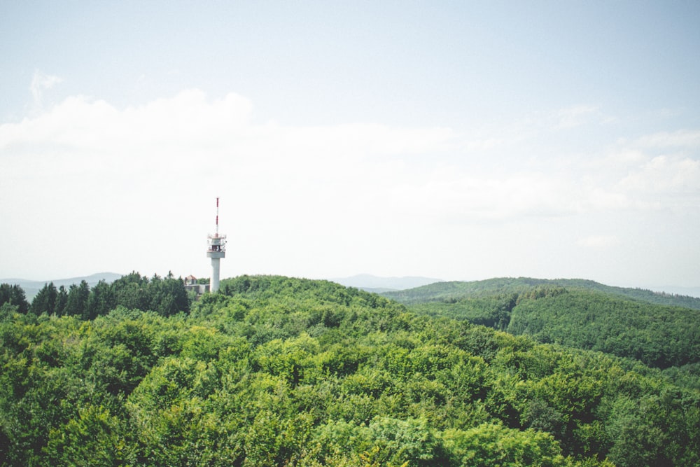 a tower on top of a hill surrounded by trees