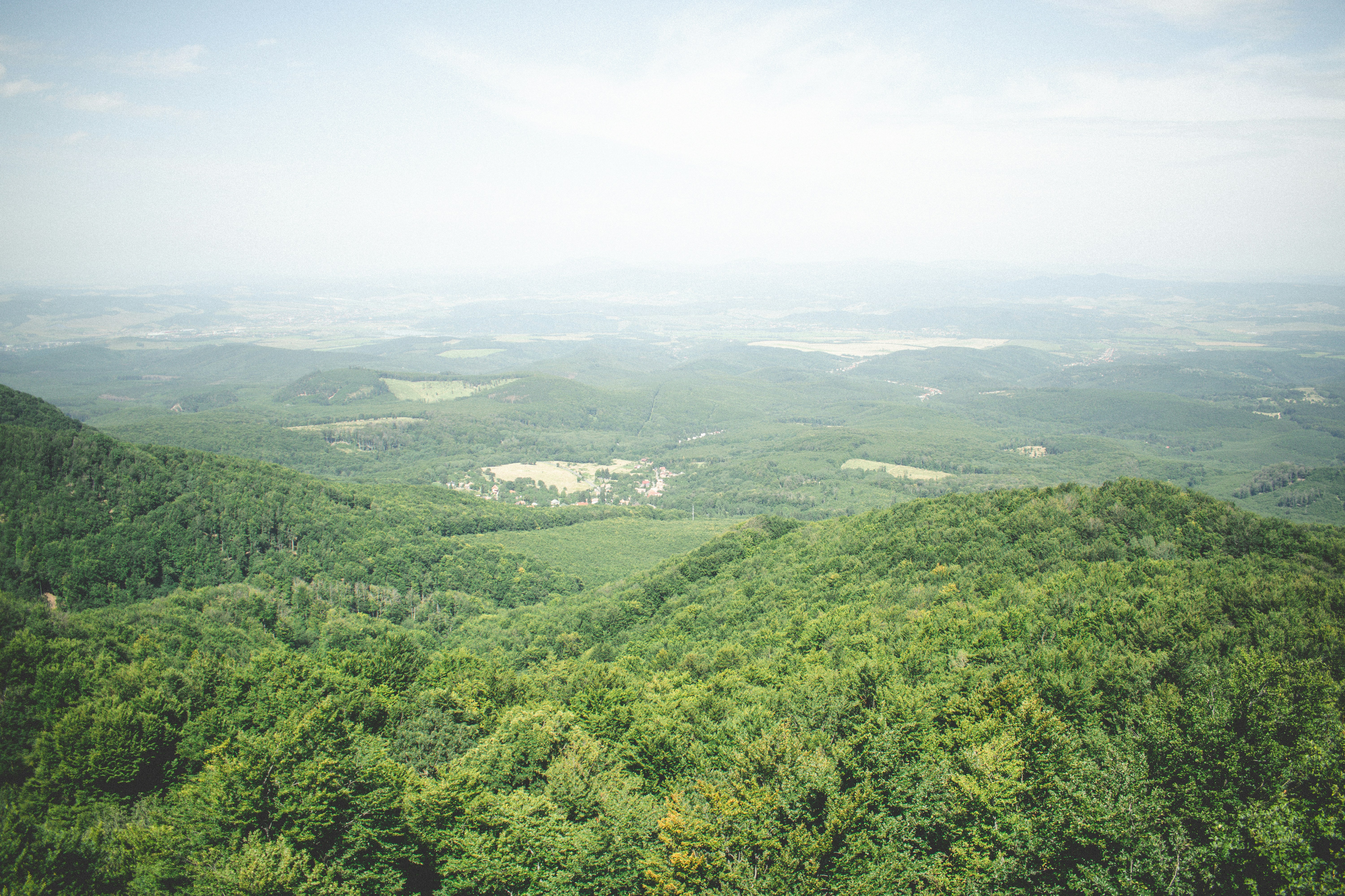 Photo by margagreta_96