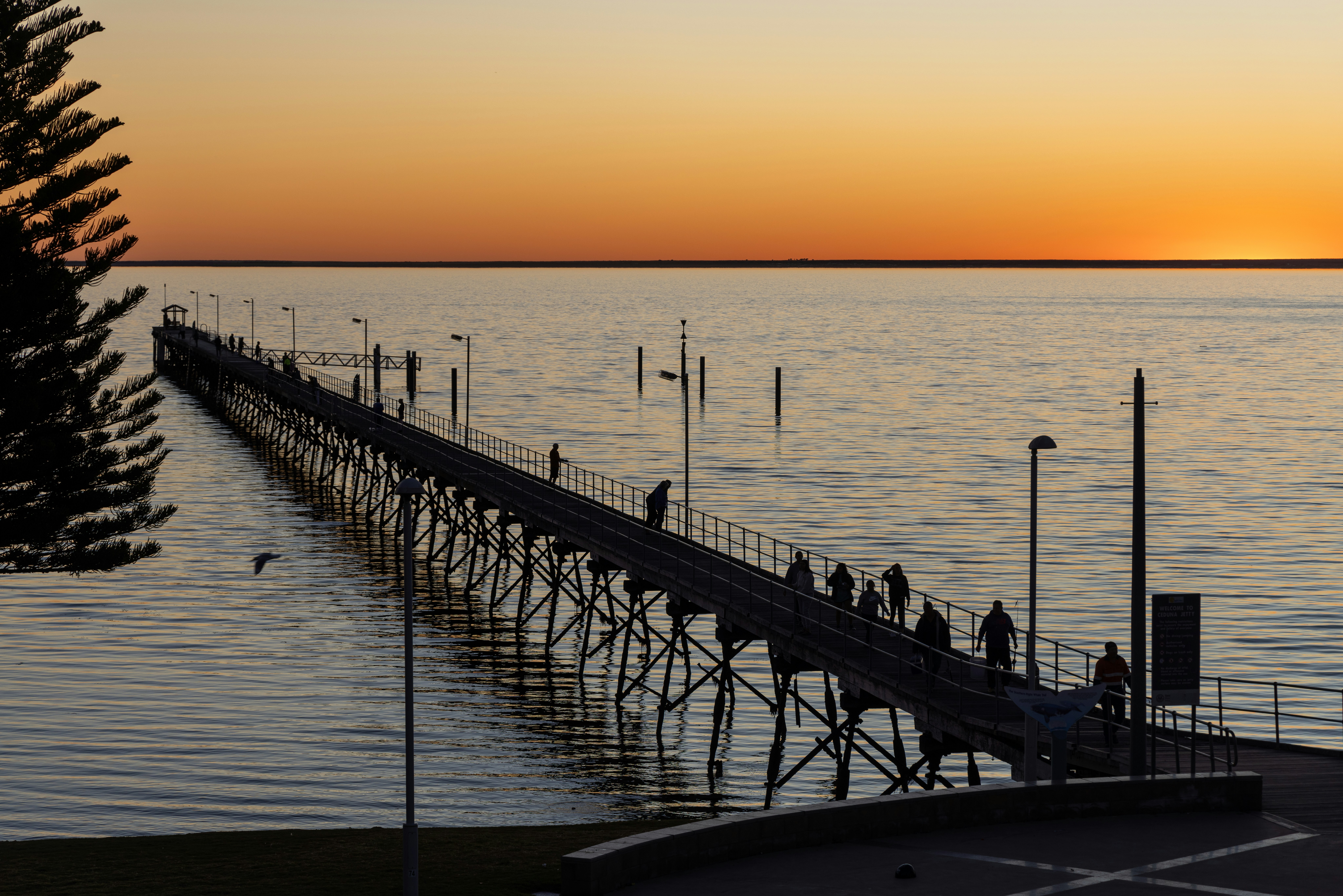 CED destination photo