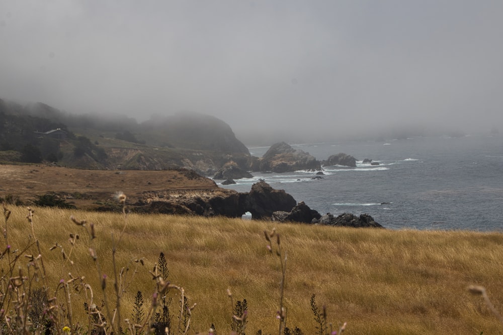 a grassy field next to the ocean on a foggy day