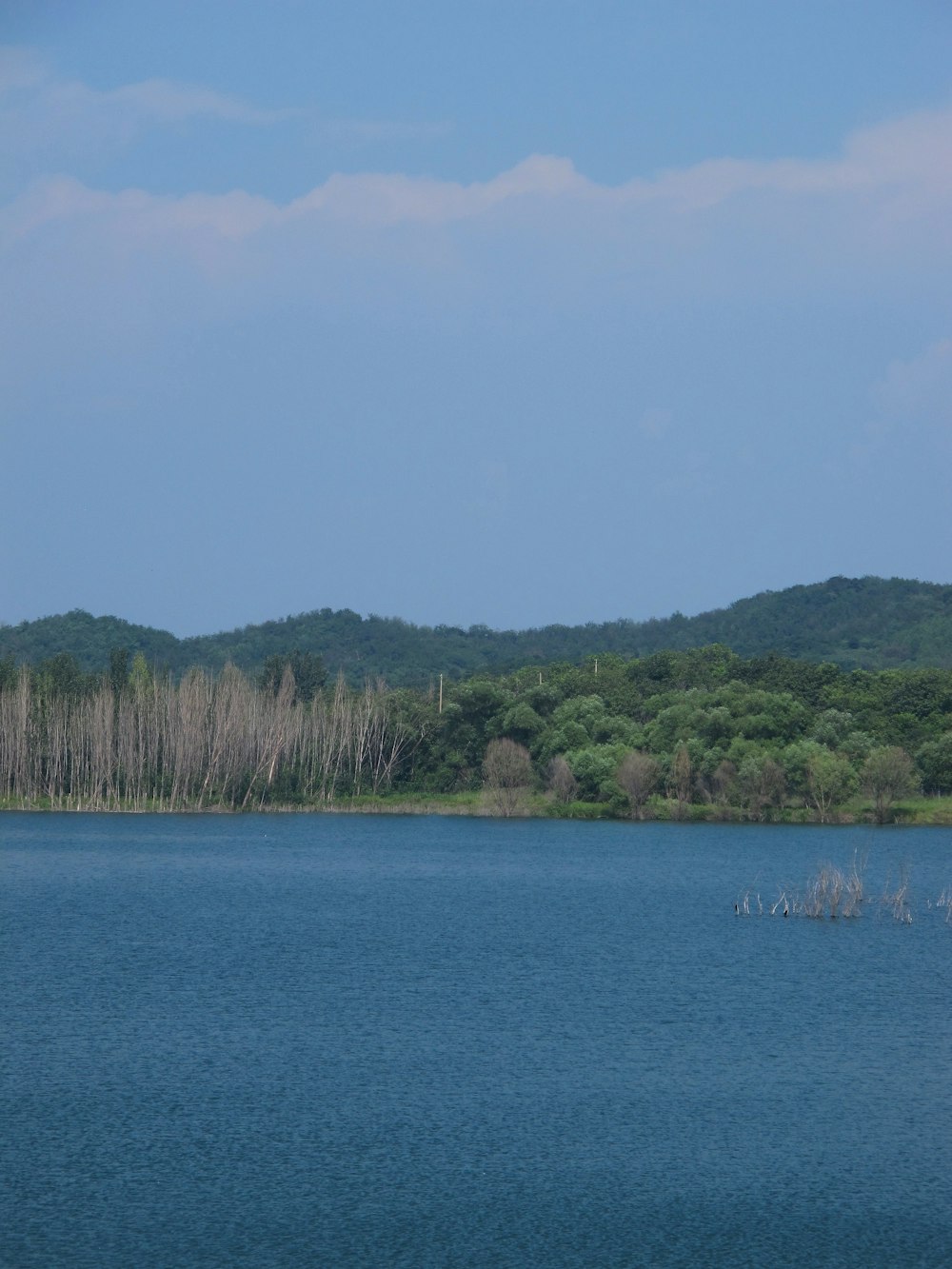 a large body of water surrounded by trees