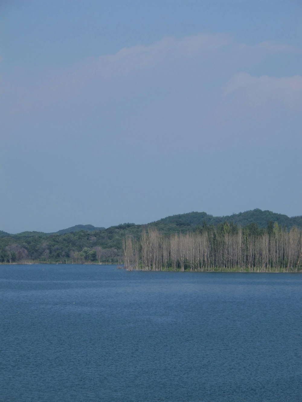 a large body of water with trees in the background