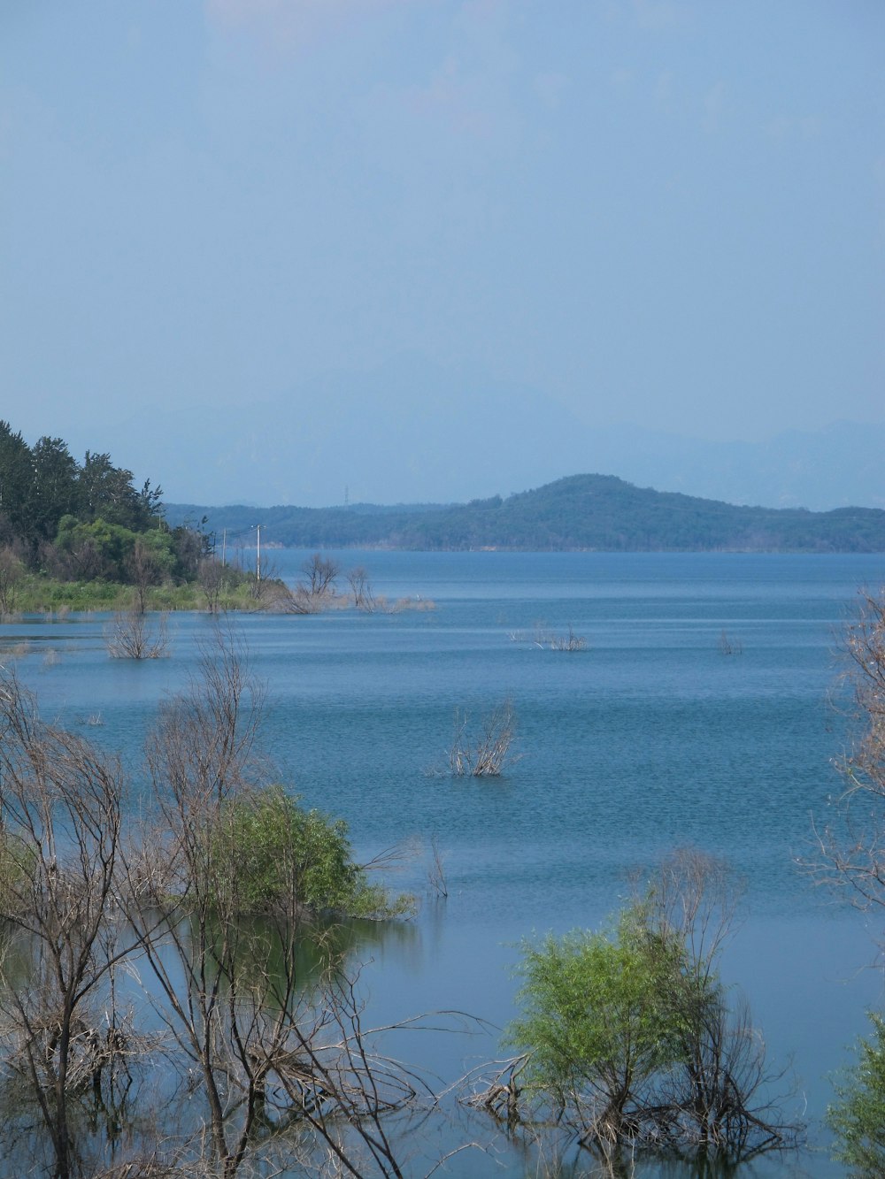 a large body of water surrounded by trees