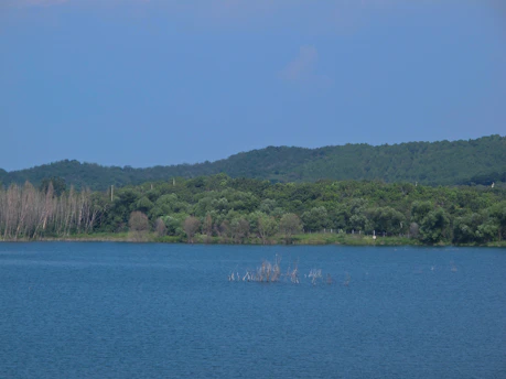 a large body of water with trees in the background