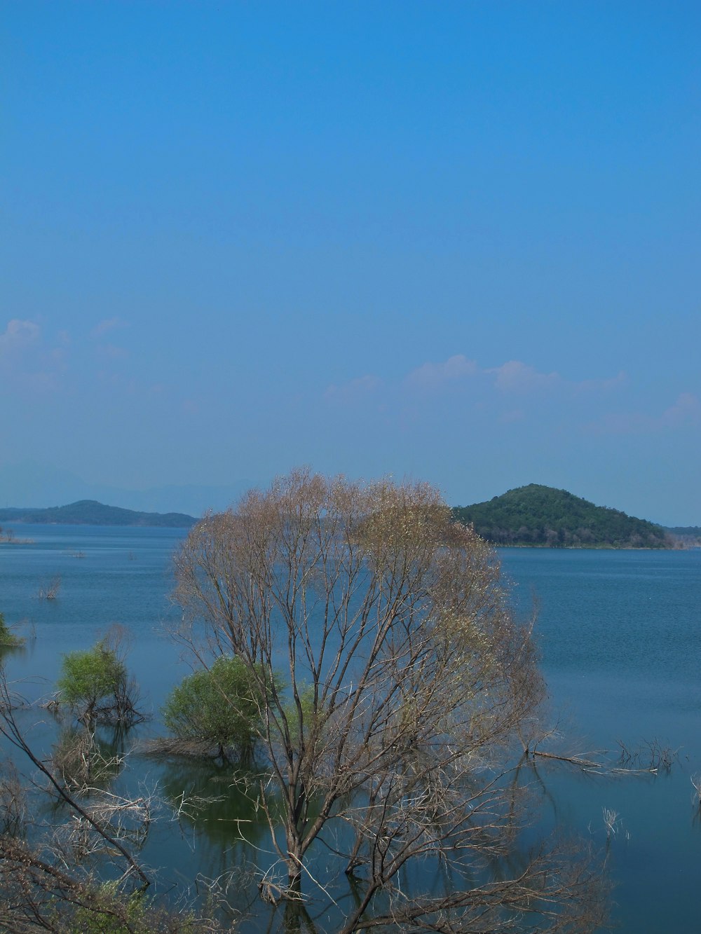 a large body of water surrounded by trees