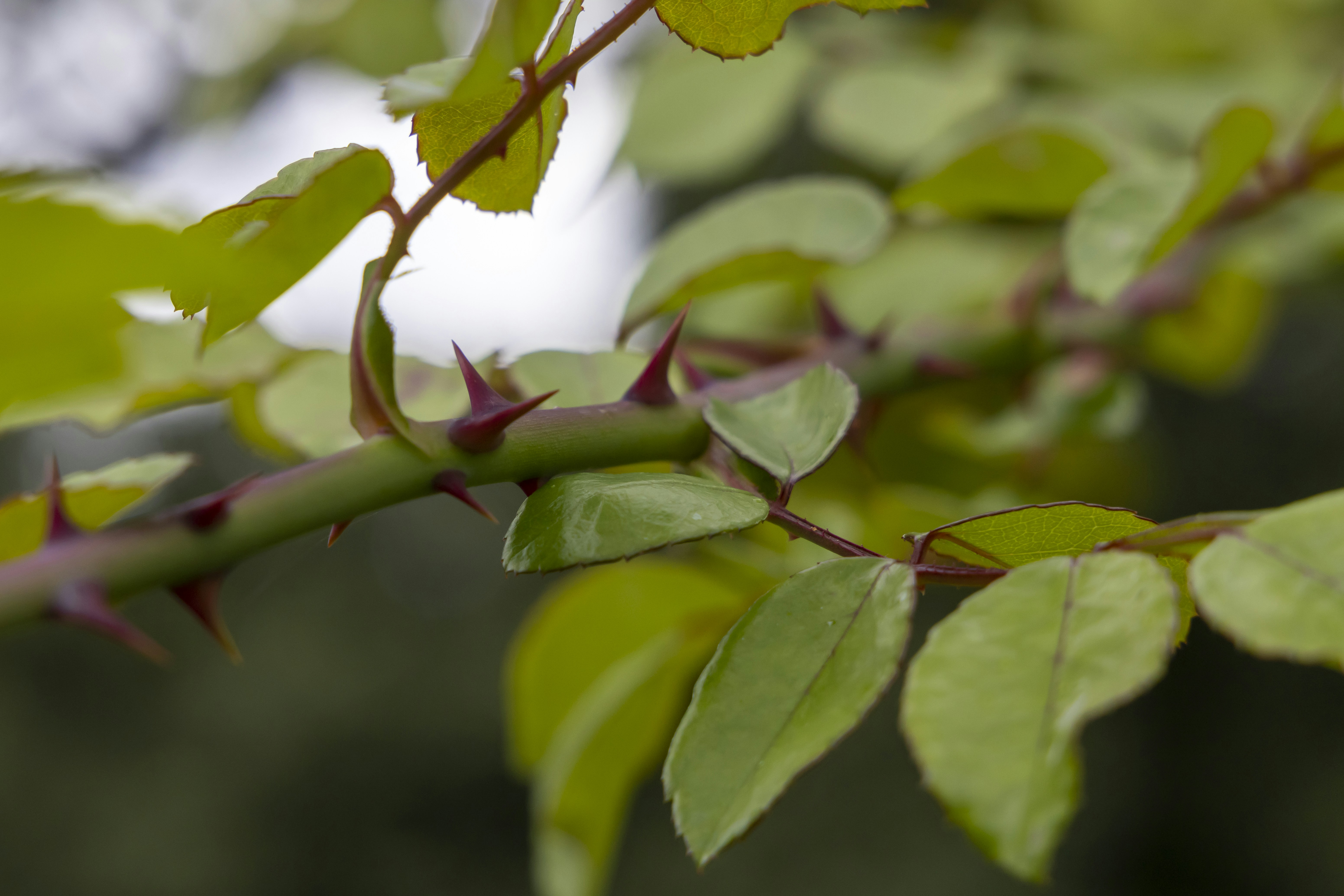 Photo by stephenmabbs