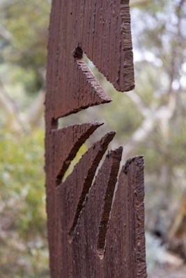 A vertically oriented wooden sculpture with rough, jagged edges and triangular cut-outs is set against a blurred background of greenery.