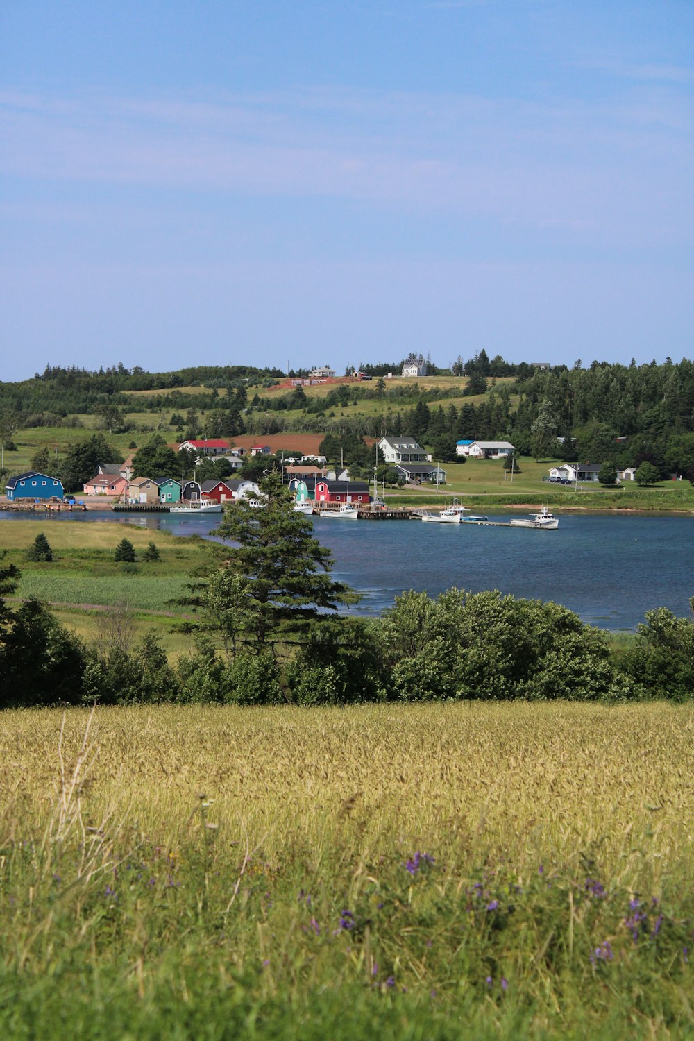 a large body of water sitting next to a lush green hillside