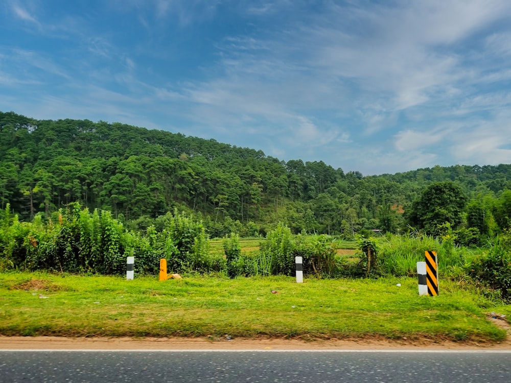 a grassy field with trees in the background