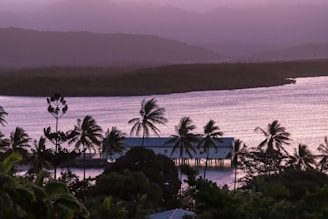 A tropical landscape showcasing a serene body of water with gentle waves glistening under soft lighting. Coconut palm trees sway along the coastline, with a stilt house sitting above the water. The background reveals misty hills under a pastel-colored sky, creating a peaceful and idyllic scenery.