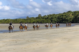 A group of people riding horses along a sandy beach with lush green trees in the background. The sky is partly cloudy, and the scene conveys a sense of tranquility and adventure.