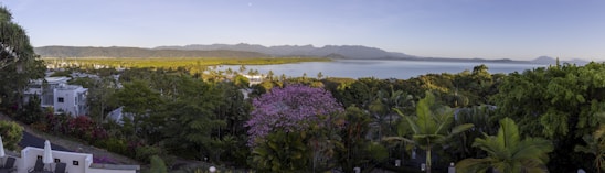 A scenic view of clove plantations in Comoros.