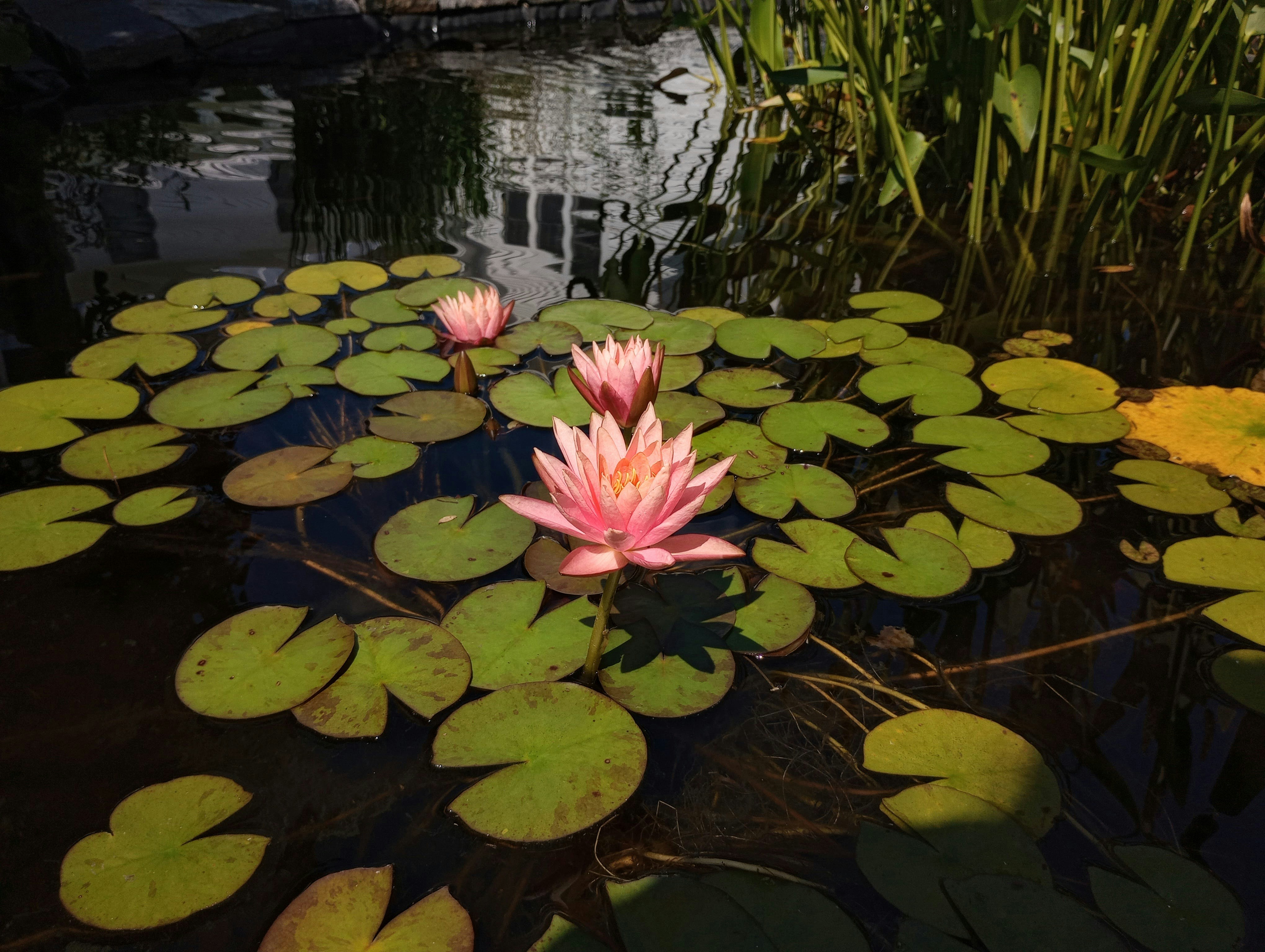 Photo by grimmie_and_ghostlie