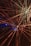 Bright, colorful laser beams radiate in various directions against a dark background, creating a dynamic and energetic composition. The beams converge towards the center and display a spectrum of colors including red, yellow, and hints of blue. The vibrant lights create a sense of movement and depth.