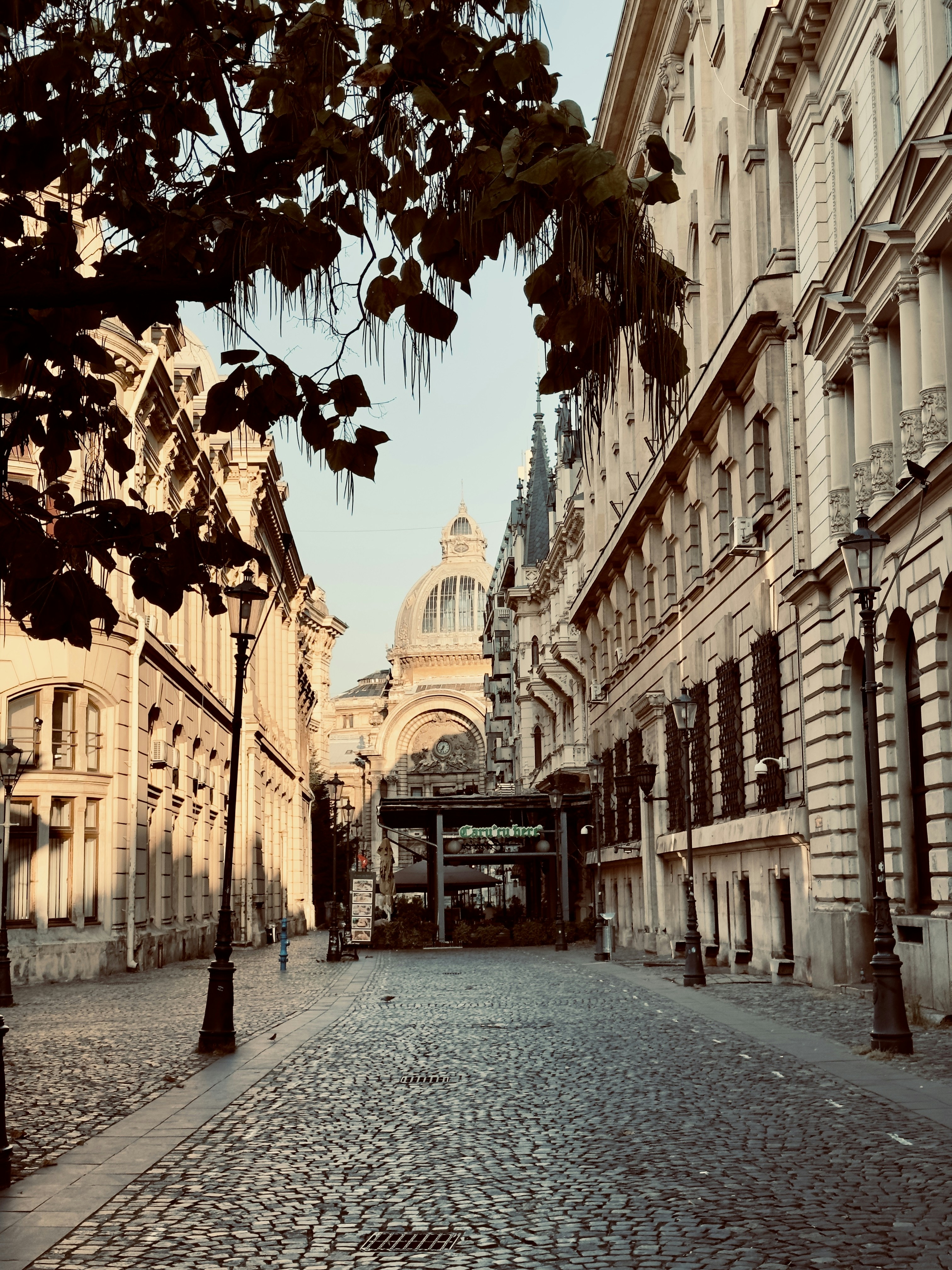 Photo by sarurobert1