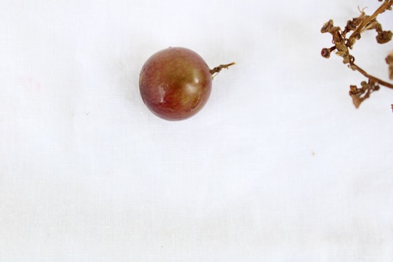 A single, round grape with a reddish hue is placed on a plain white surface. Some dried stems with a few brown remnants are visible nearby.