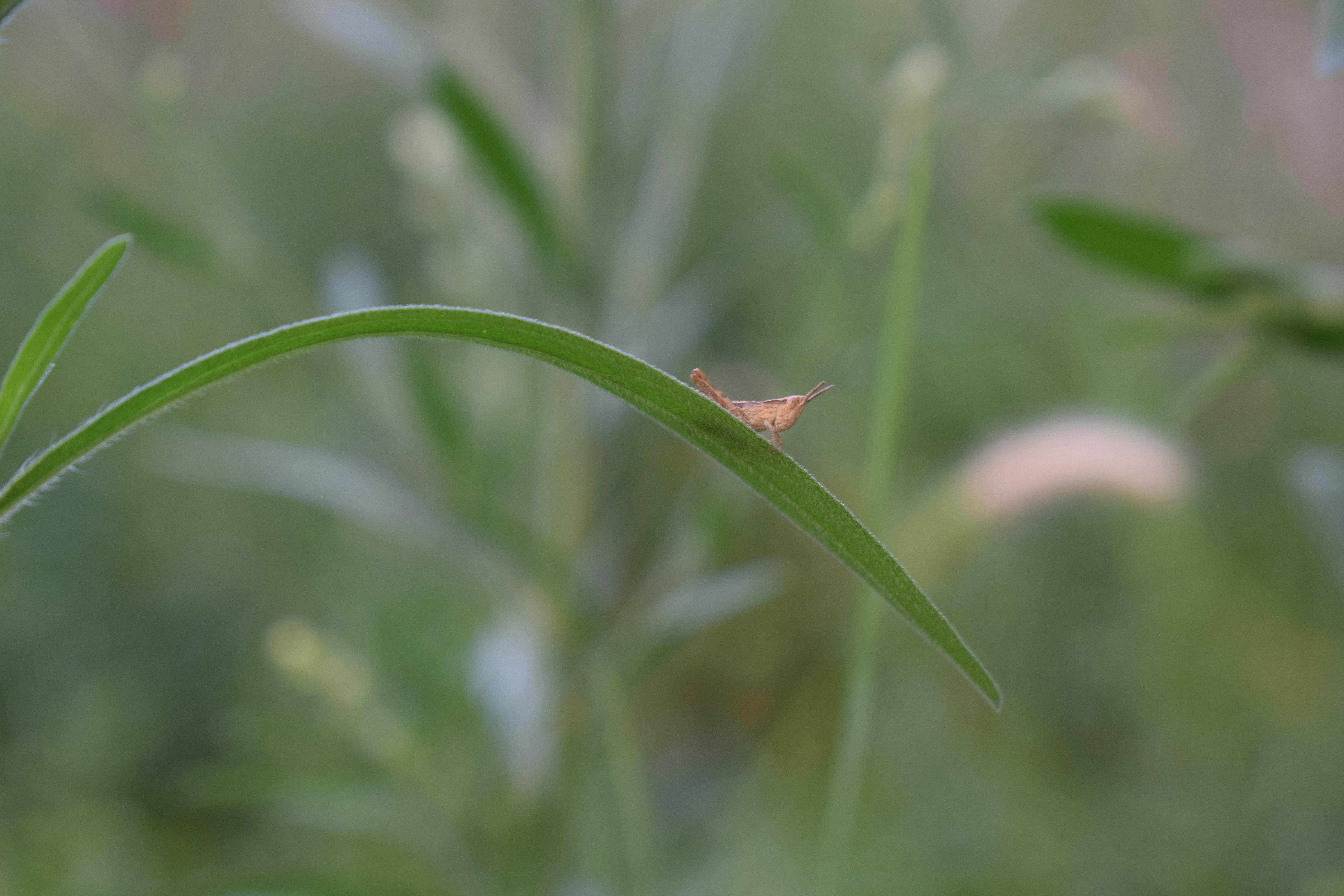 Photo by simplicity