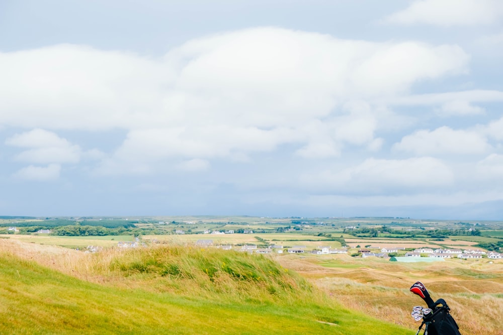 a person flying a kite in a grassy field