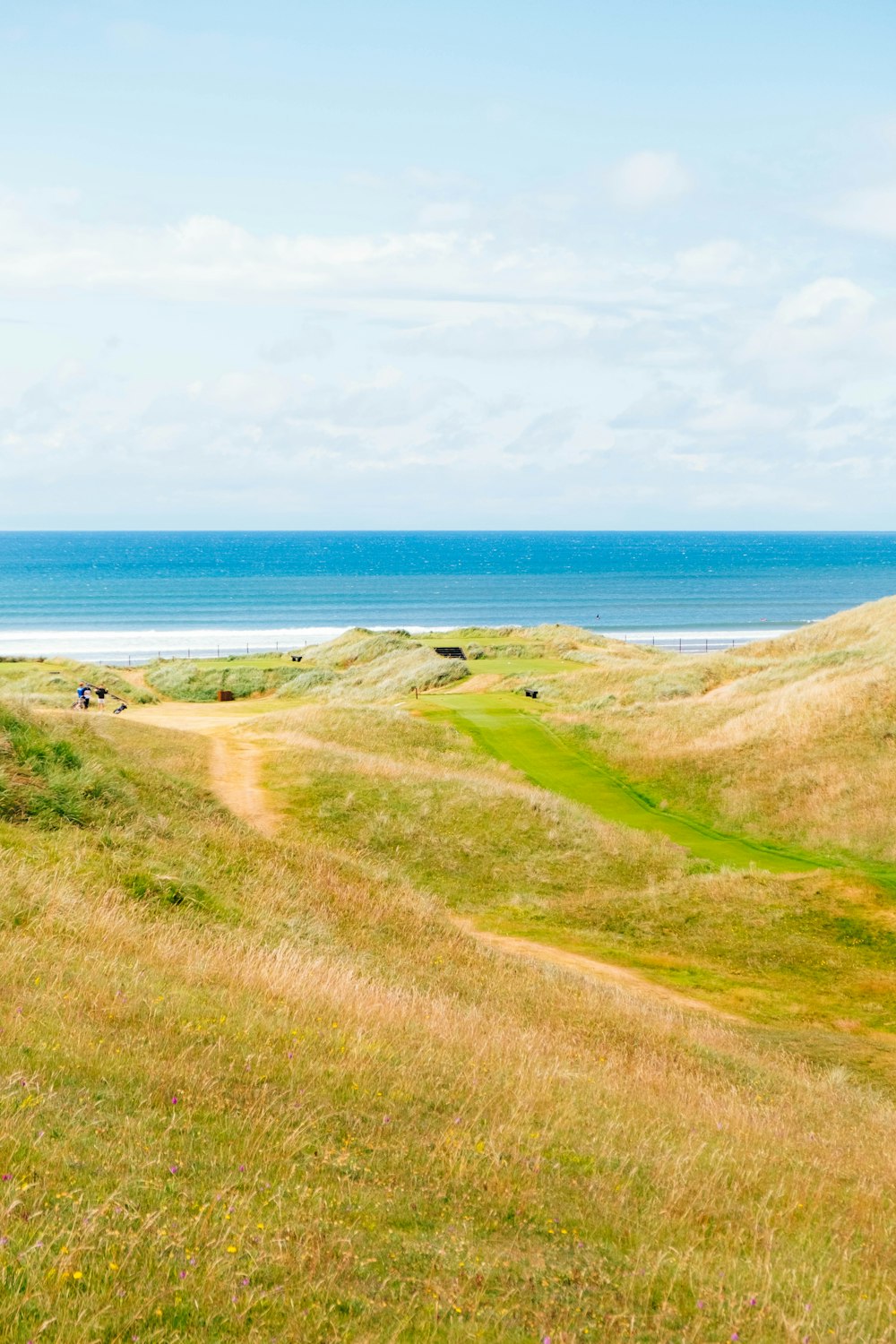 a grassy field next to the ocean on a sunny day