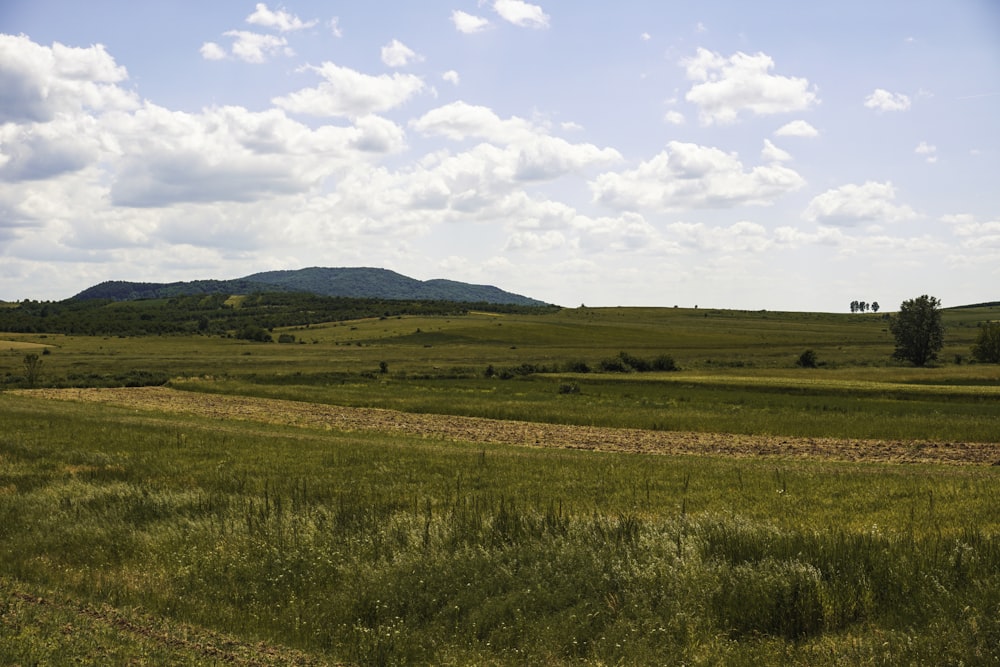 a grassy field with a hill in the distance