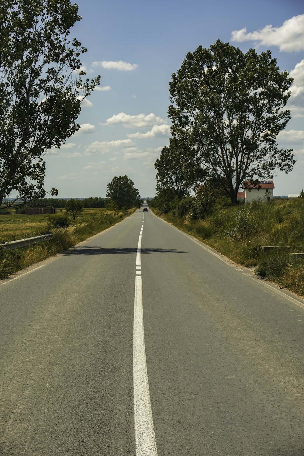 a long empty road with trees on both sides