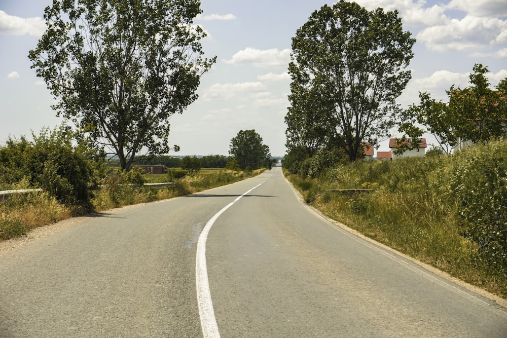 an empty road with trees on both sides