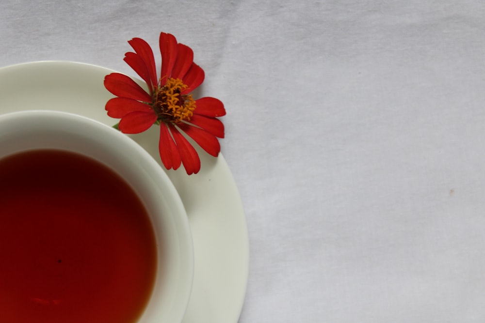 a cup of tea with a red flower on top of it