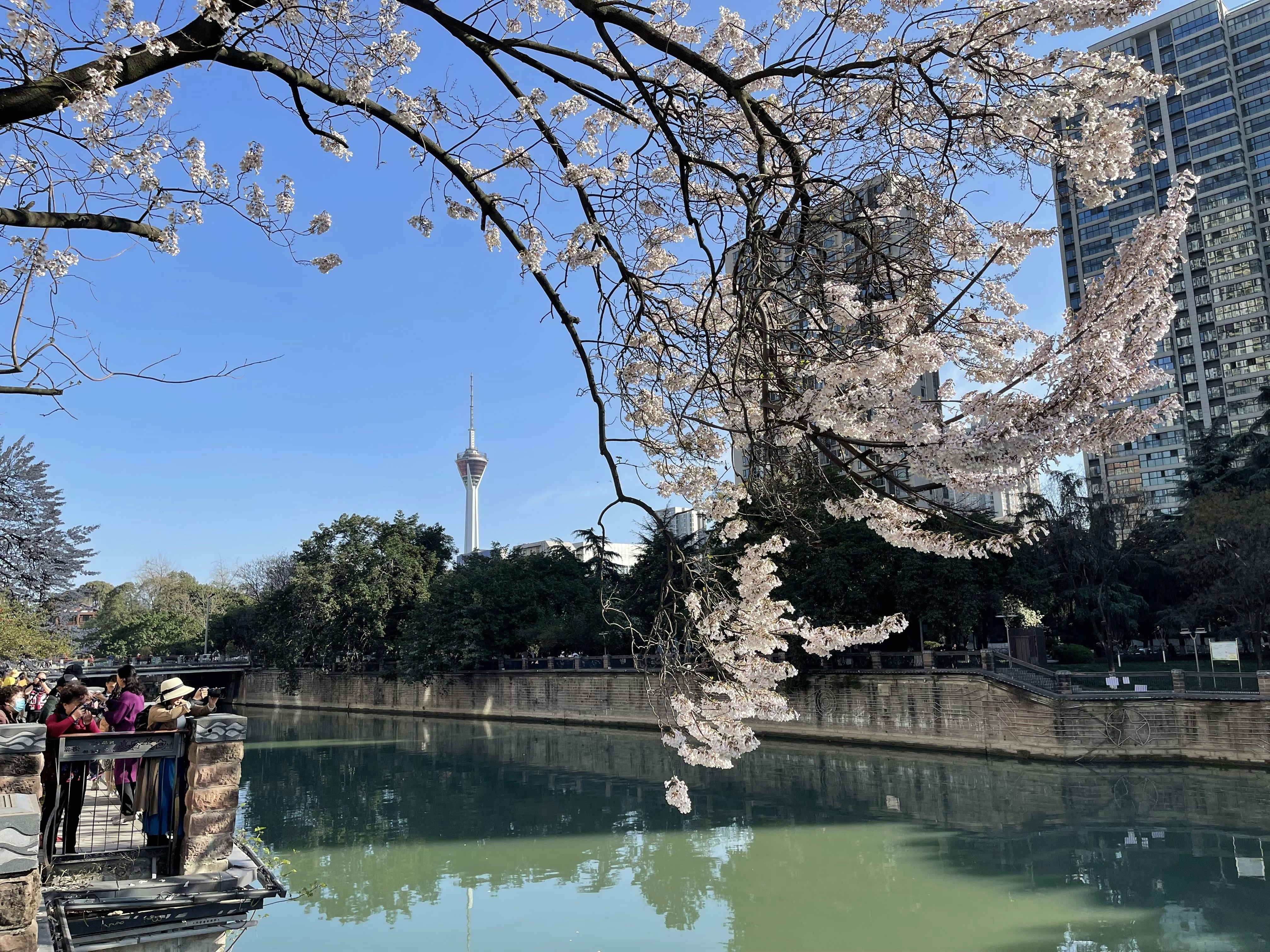 a group of people standing on a bridge over a river