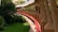 A red pipeline runs alongside a series of evenly spaced pillars, bordered by green grass and lush vegetation. The scene includes a walkway that follows the curvature of the pipeline. Buildings and foliage are visible in the background.