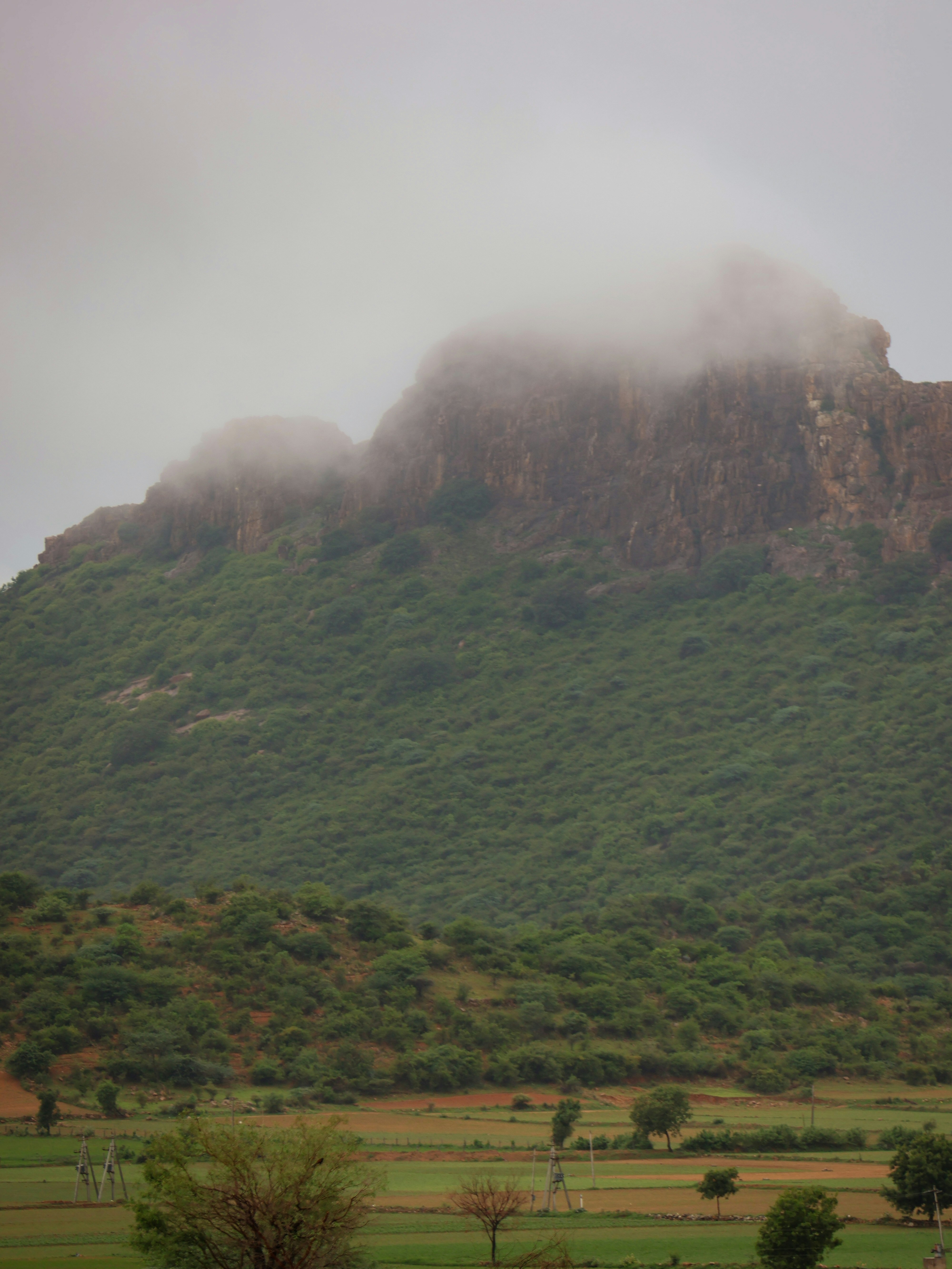 ein Berg, der mit Wolken und Gras bedeckt ist